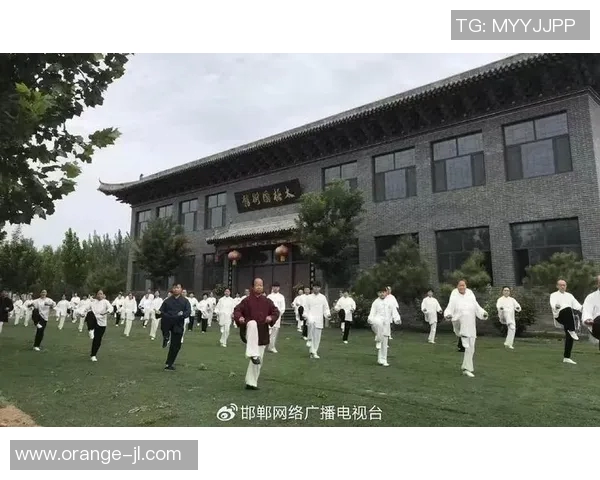 传承与创新永年太极拳的文化魅力与现代发展之路