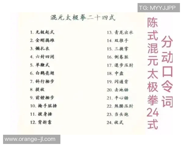 陈式太极视频教学全攻略助你轻松掌握太极拳的精髓与技巧